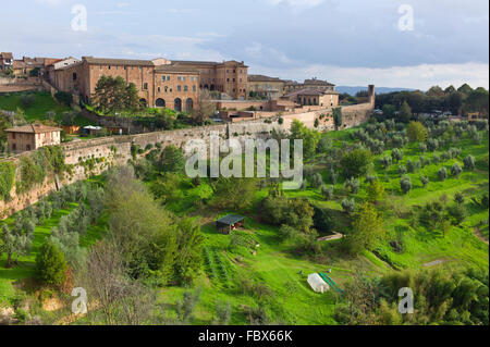 Vista attraverso le mura della città vecchia verso Via del Nuovo Asilo e Porta San Marco, Siena, Toscana, Italia Foto Stock