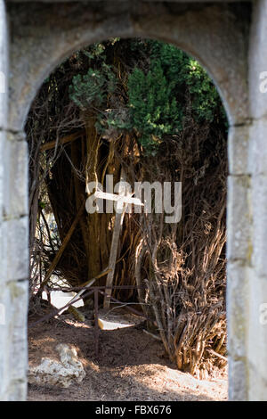 Vecchia croce di legno e l'albero di Yew nel cimitero di Civaux. Foto Stock