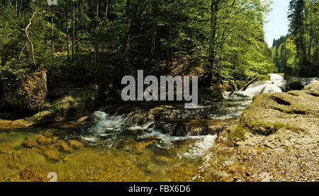 L'Argen nel burrone di ghiaccio Foto Stock