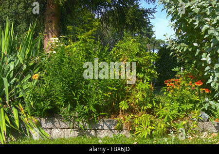 Stonewall e fiorente aiuola di fiori in estate Foto Stock