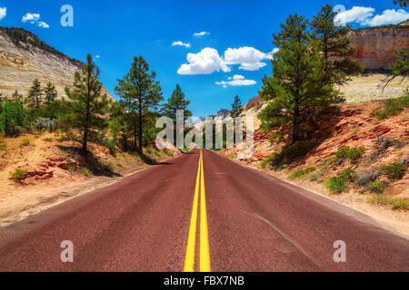 American road nel Canyon Zion National Park nello Utah Foto Stock