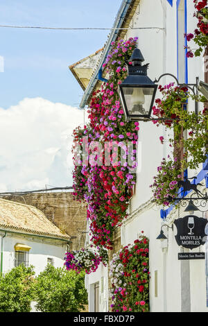 Tavel Andalusien, Reise Andalusien Foto Stock