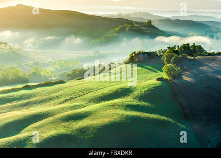 Nebbia incredibile su campi in toscano raggi di sunrise, Italia Foto Stock