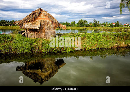 Canale di irrigazione sistema nel campo di riso Foto Stock