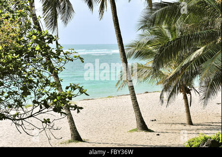 Dreamy Beach in Africa Foto Stock