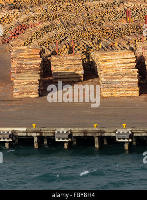 Pile di tronchi di alberi pronti per esportazione via mare Foto Stock