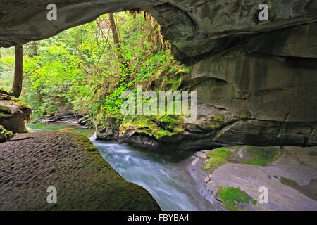 Grotta di pietra calcarea scavata da un fiume a poco Hudson Grotta Parco Regionale, Isola di Vancouver Nord, British Columbia, Canada. Foto Stock