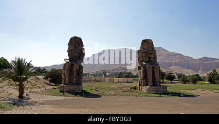 Memnone colossi di Luxor Foto Stock