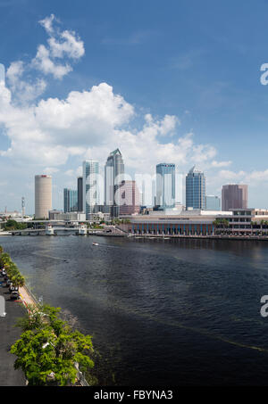 Skyline della città di Tampa Florida durante il giorno Foto Stock
