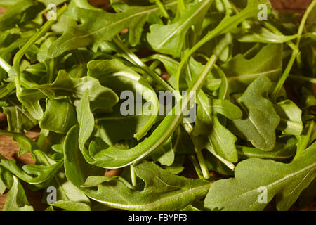 Baby fresca insalata arugala Foto Stock