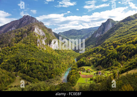 Fiume Tara canyon, Montenegro Foto Stock