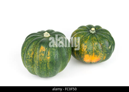 Due acorn squash, zucca raccolta dal Messico a isolare lo sfondo bianco Foto Stock