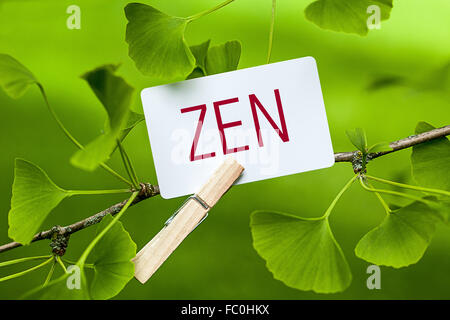 La parola "zen" in un Ginkgo Tree Foto Stock