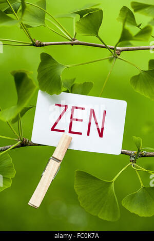 La parola "zen" in un Ginkgo Tree Foto Stock