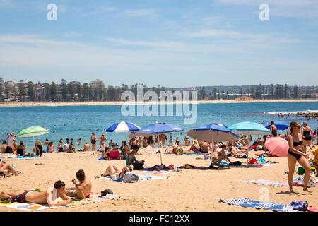 Shelly spiaggia di Manly e Cabbage Tree Bay, Nuovo Galles del Sud, Australia Foto Stock