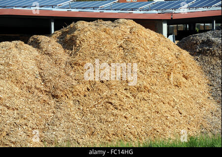 trucioli di legno Foto Stock