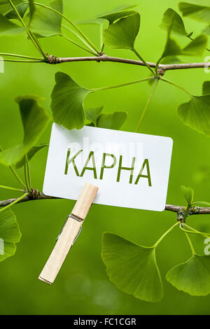 La parola "Kapha in un Ginkgo Tree Foto Stock
