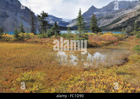 Brillante al Lago Bow e montagne Foto Stock