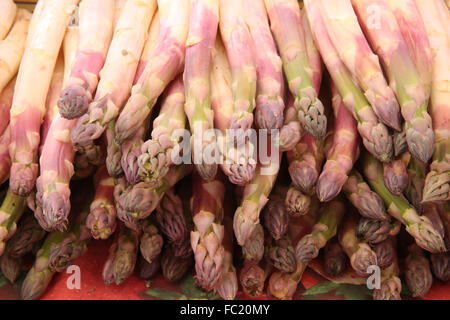 A base di asparagi freschi sul francese street market. Foto Stock