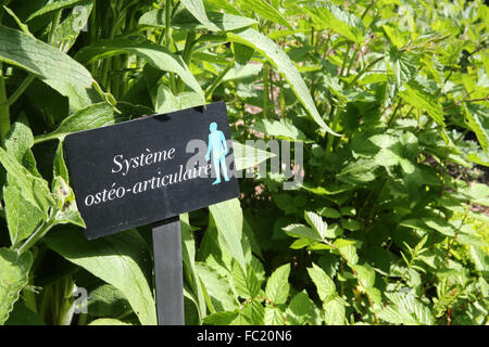 Il giardino dei cinque sensi (Jardin des Cinq Sens). Piante medicinali. Foto Stock