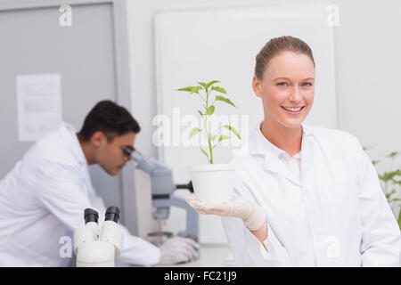 Scienziato felice sorridente in Telecamera che mostra impianto Foto Stock