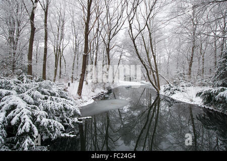 Coperta di neve di parco in parco Tiergarten di Berlino in inverno 2016, con monumenti e gli alberi e il lago di Berlino Foto Stock