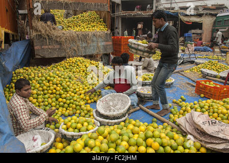 (160120) -- Calcutta, 20 gennaio, 2016 (Xinhua) -- indiano di fornitori di frutta organizzare i loro frutti per la vendita al commercio all'ingrosso mercato della frutta in Kolkata, capitale dell'est lo stato indiano del Bengala Occidentale, 20 gennaio, 2016. (Xinhua/Tumpa Mondal) Foto Stock