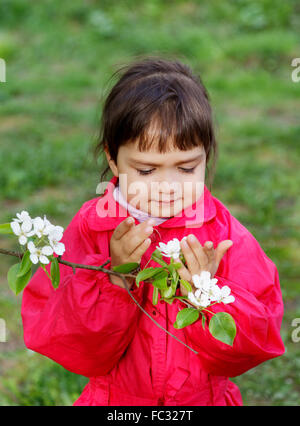 Bambina con fiori di pere in primavera Foto Stock