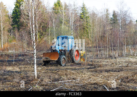 Il trattore lavorano la terra tra gli alberi Foto Stock