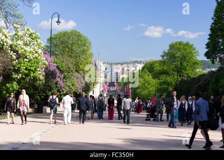 Costituzione norvegese giorno su strada Foto Stock