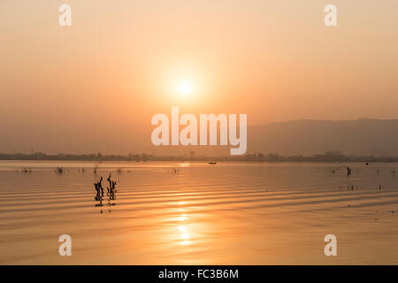 Tramonto Dorato a Ana Sagar lago in Ajmer, India con sagome di alberi e fisherman. Foto Stock