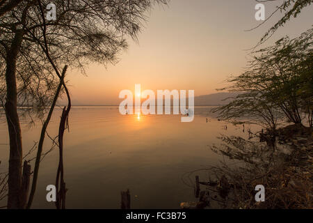 Tramonto Dorato a Ana Sagar lago in Ajmer, India con sagome di alberi e fisherman. Foto Stock