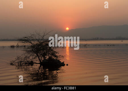 Tramonto Dorato a Ana Sagar lago in Ajmer, India con sagome di alberi e fisherman. Foto Stock