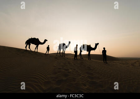 Silhoutte di Camel Boy traversata nel deserto del Thar durante il tramonto. Deserto di Thar situato a Jaisalmer, Rajastan, India. Foto Stock