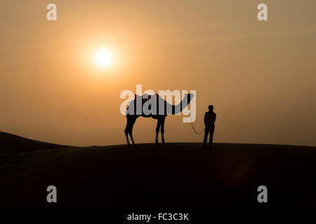 Silhoutte di Camel Boy traversata nel deserto del Thar durante il tramonto. Deserto di Thar situato a Jaisalmer, Rajastan, India. Foto Stock