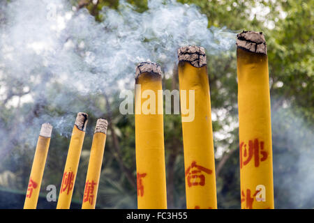 Masterizzazione gigante bastoncini di incenso Foto Stock