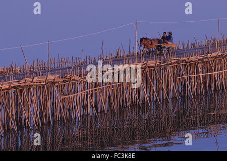 Cavallo carrello attraversa il ponte di bambù sul fiume Mekong, Kampong Cham, Cambogia. © Kraig Lieb Foto Stock