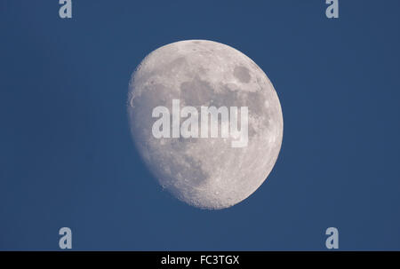 Il torneo di Wimbledon, Londra, Regno Unito. Il 20 gennaio, 2016. 87% illuminato waxing gibbous luna con chiaramente visibile crateri e montagne in blu chiaro inizio sera Cielo sopra di Londra, Regno Unito. Credito: Malcolm Park editoriale/Alamy Live News Foto Stock