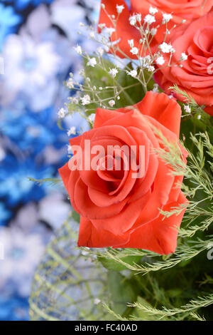 Una chiusura di ripresa macro di una rosa rossa Foto Stock