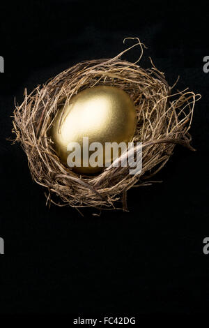 Grande Golden Egg in nido di uccelli Foto Stock