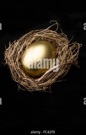 Grande Golden Egg in nido di uccelli Foto Stock