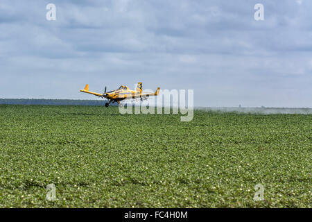 Insetticida piano di spruzzatura nella semina di soia in campagna Foto Stock