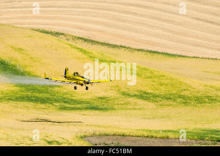 Crop duster spruzzatura di erbicida su campi di ceci in Palouse regione orientale di Washington Foto Stock