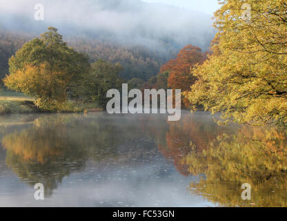 Nebbia autunnale sul fiume Dee Llangollen Galles Foto Stock