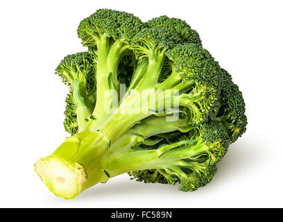 Grandi infiorescenze di broccoli freschi vista inferiore isolato su sfondo bianco Foto Stock