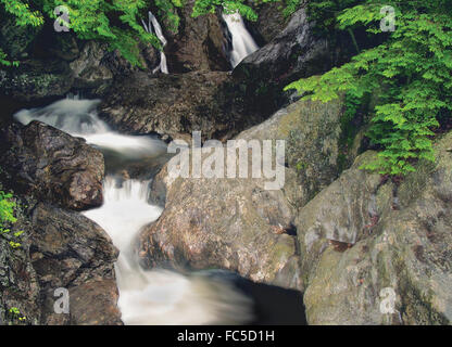 Un ruggente torrente di montagna nella foresta nazionale di Pisgah vicino al Blue Ridge Parkway, North Carolina, STATI UNITI D'AMERICA Foto Stock