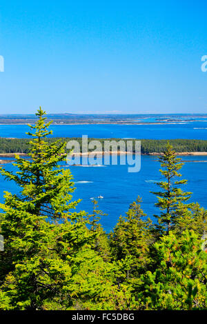 Vista dalla testa Schoodic, Schoodic Peninsula, Parco Nazionale di Acadia, Maine, Stati Uniti d'America Foto Stock