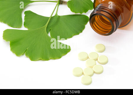 Pillole di ginkgo Foto Stock