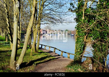 Il fiume Tamigi a Old Windsor Berkshire REGNO UNITO Foto Stock