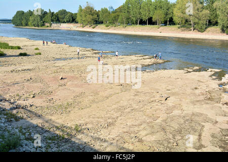 Asciutto alveo del fiume Elba vicino a Magdeburgo Foto Stock